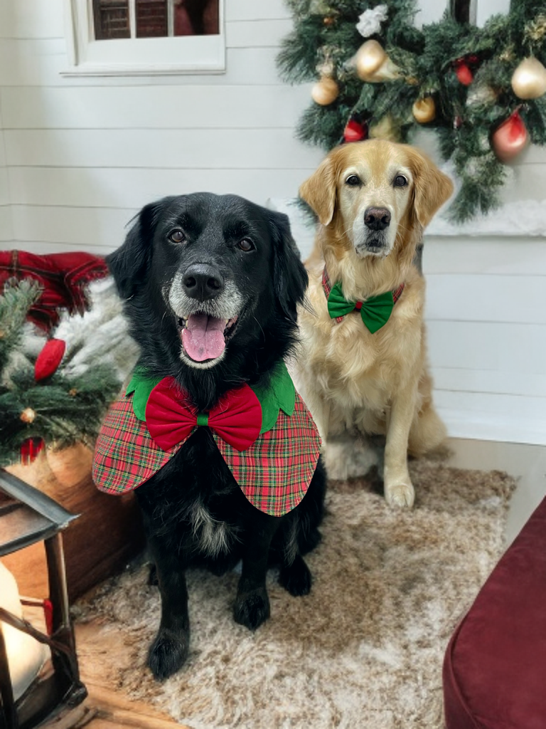 Christmas Plaid Collar - Red