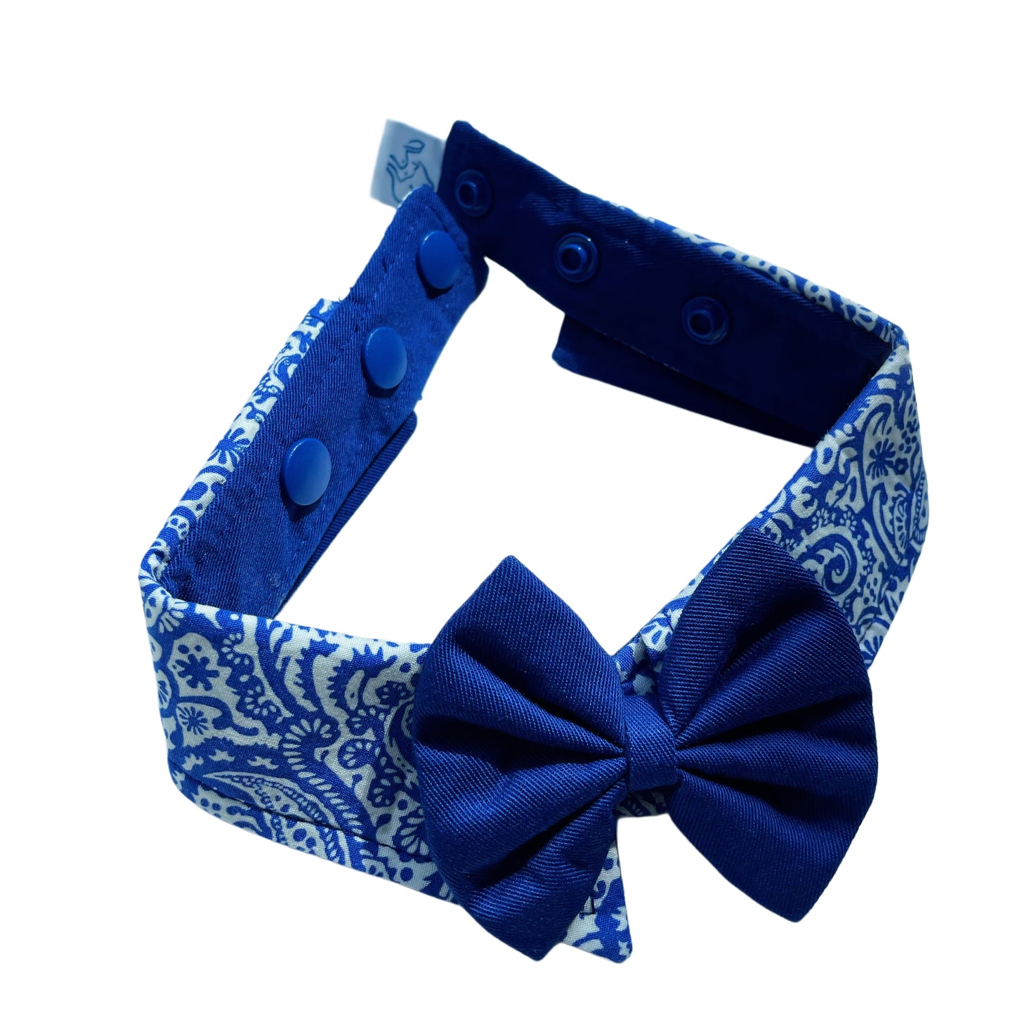Paisley Collar - Blue