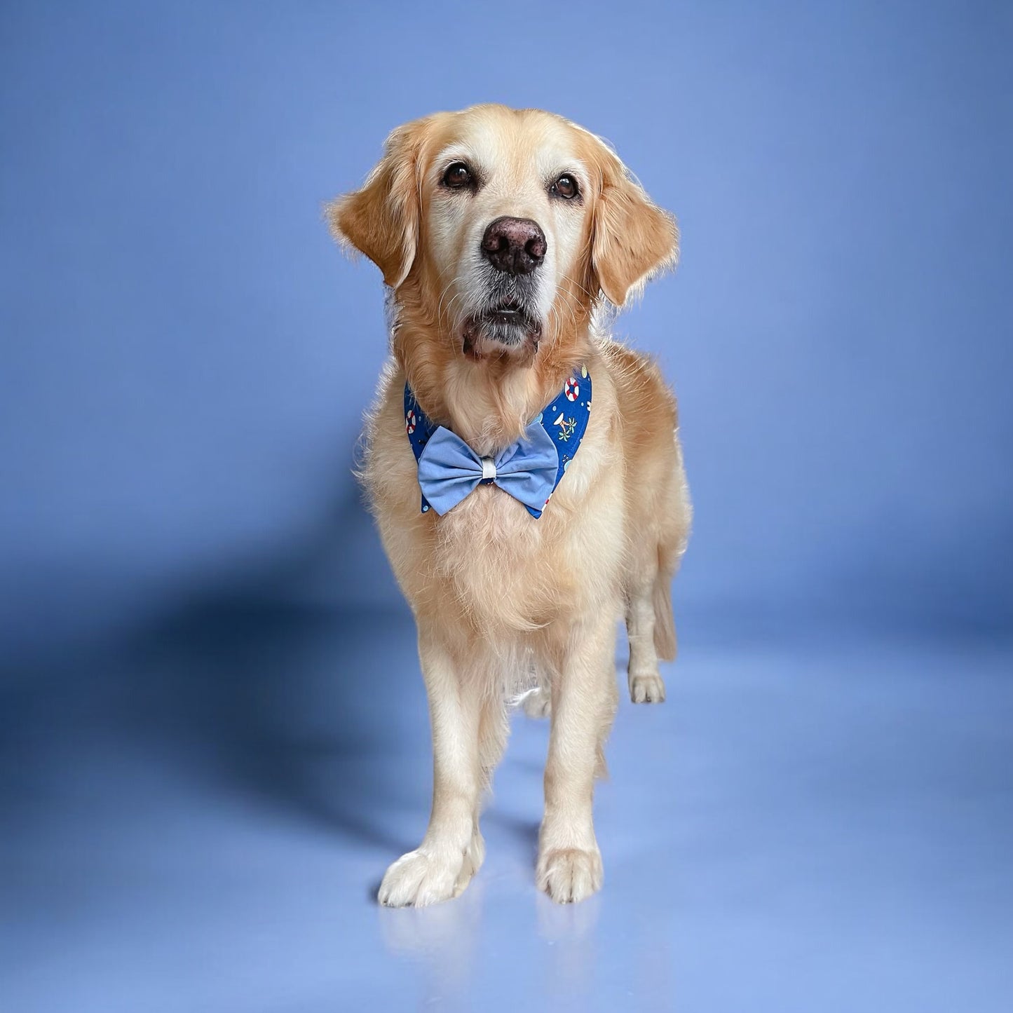 Beach Collar - Blue