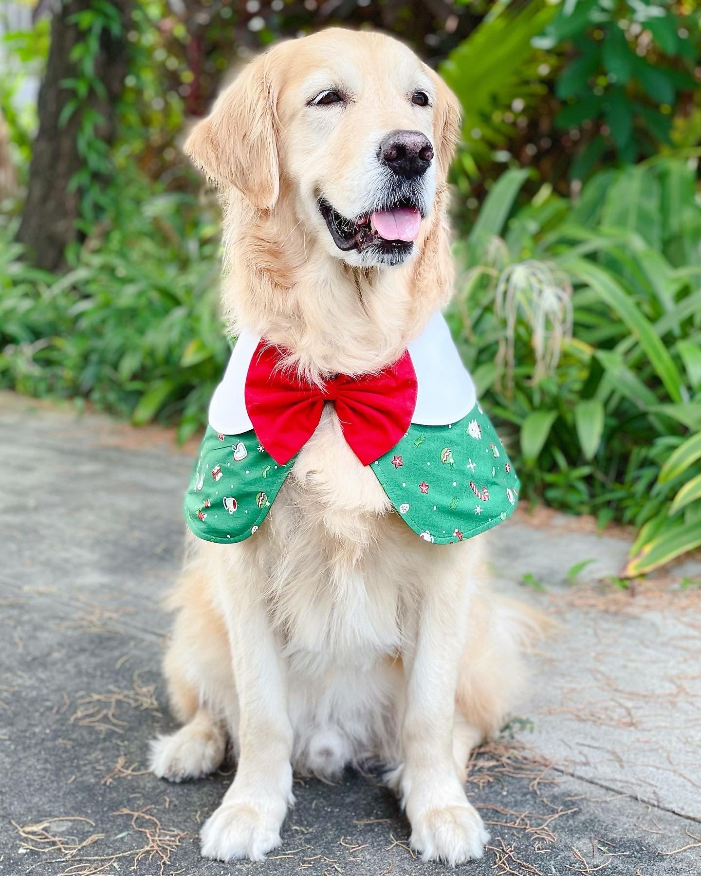 Christmas Coffee Cape - Green
