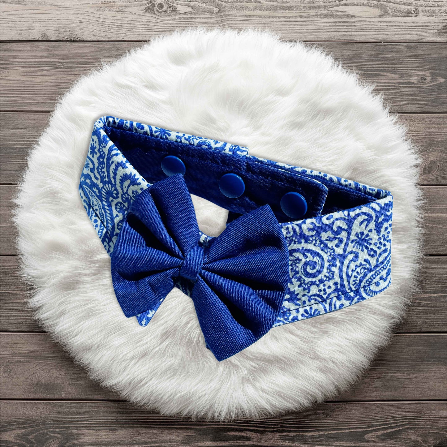 Paisley Collar - Blue
