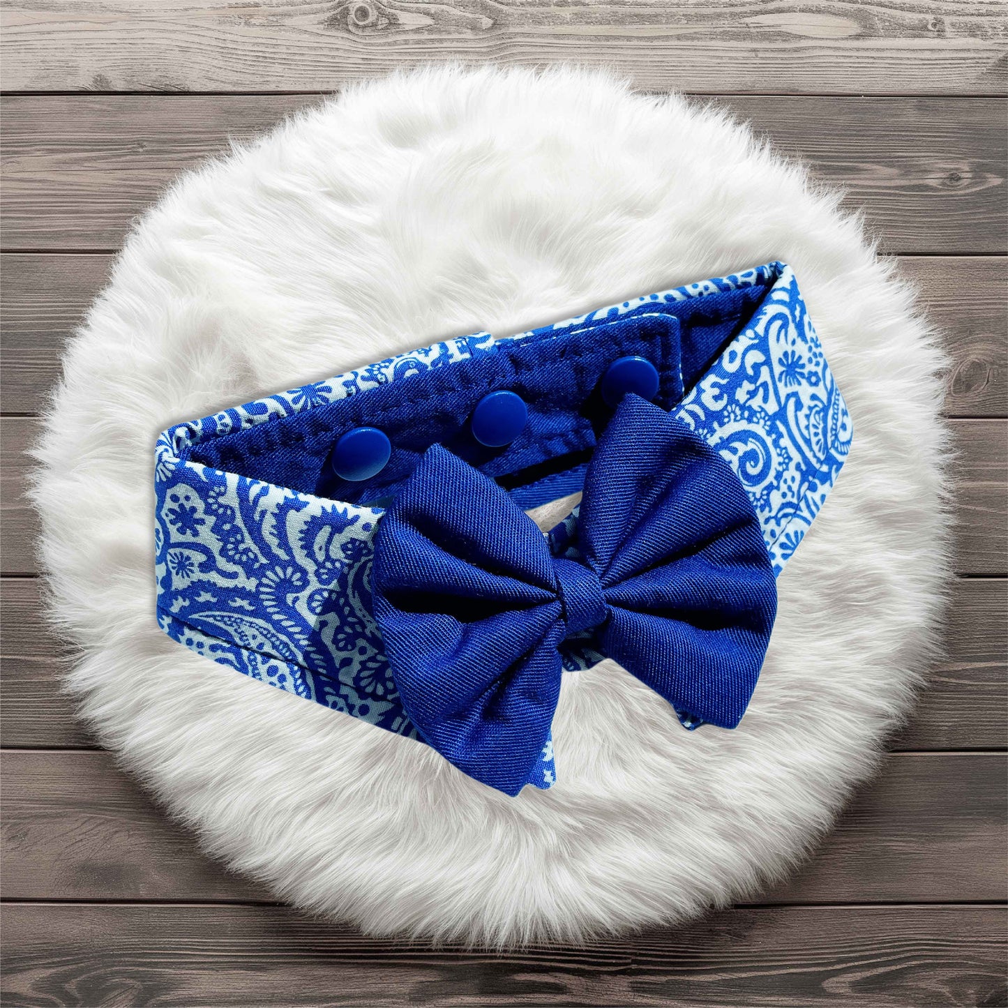 Paisley Collar - Blue
