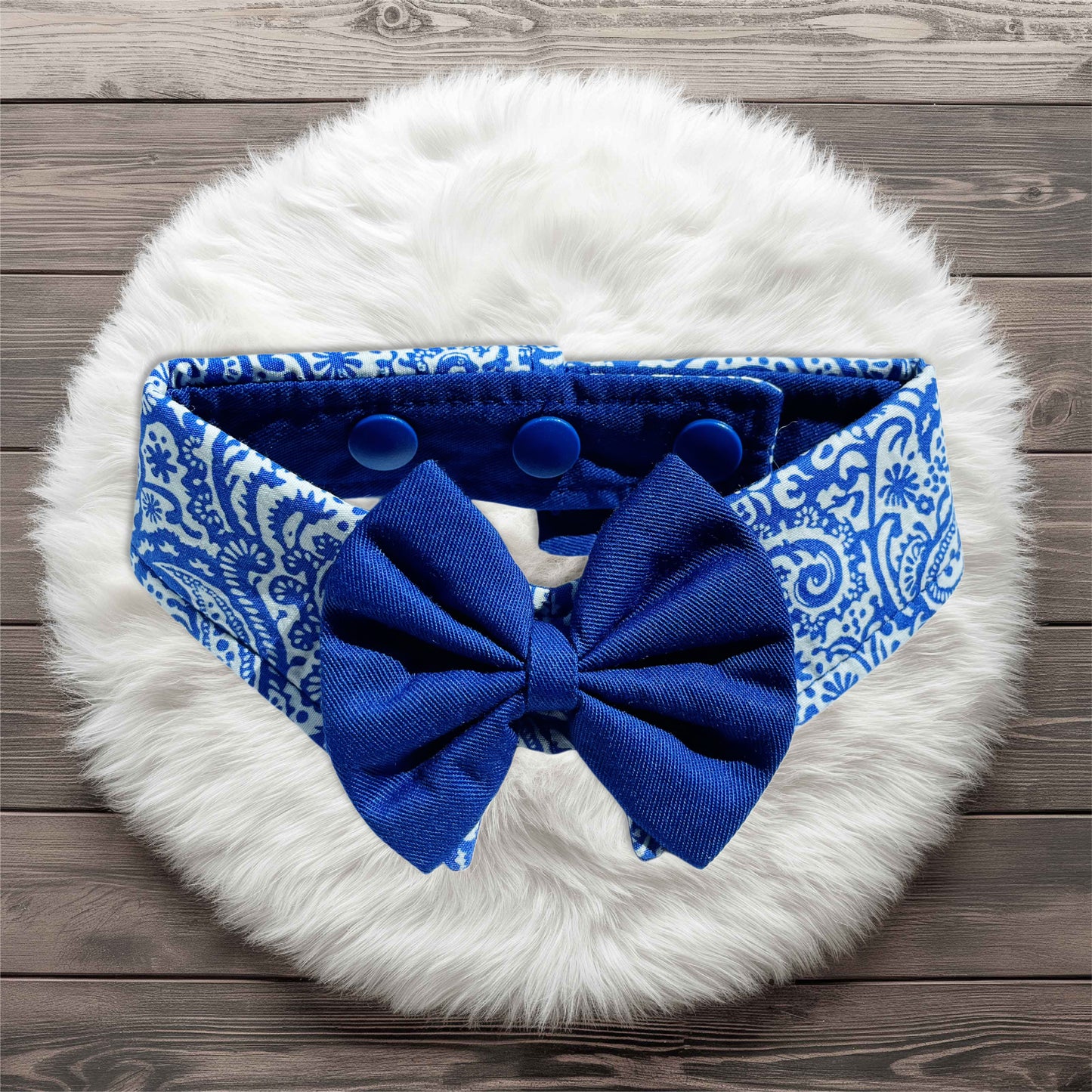 Paisley Collar - Blue