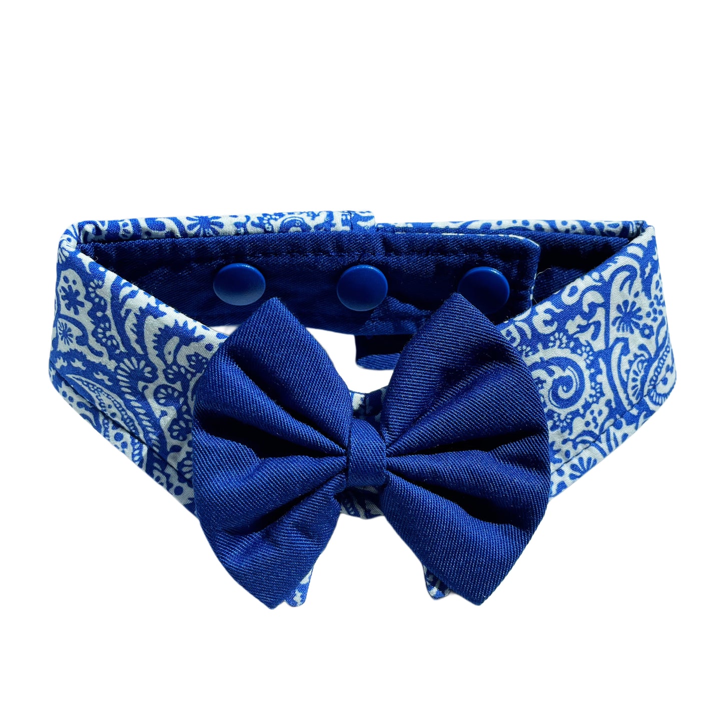 Paisley Collar - Blue