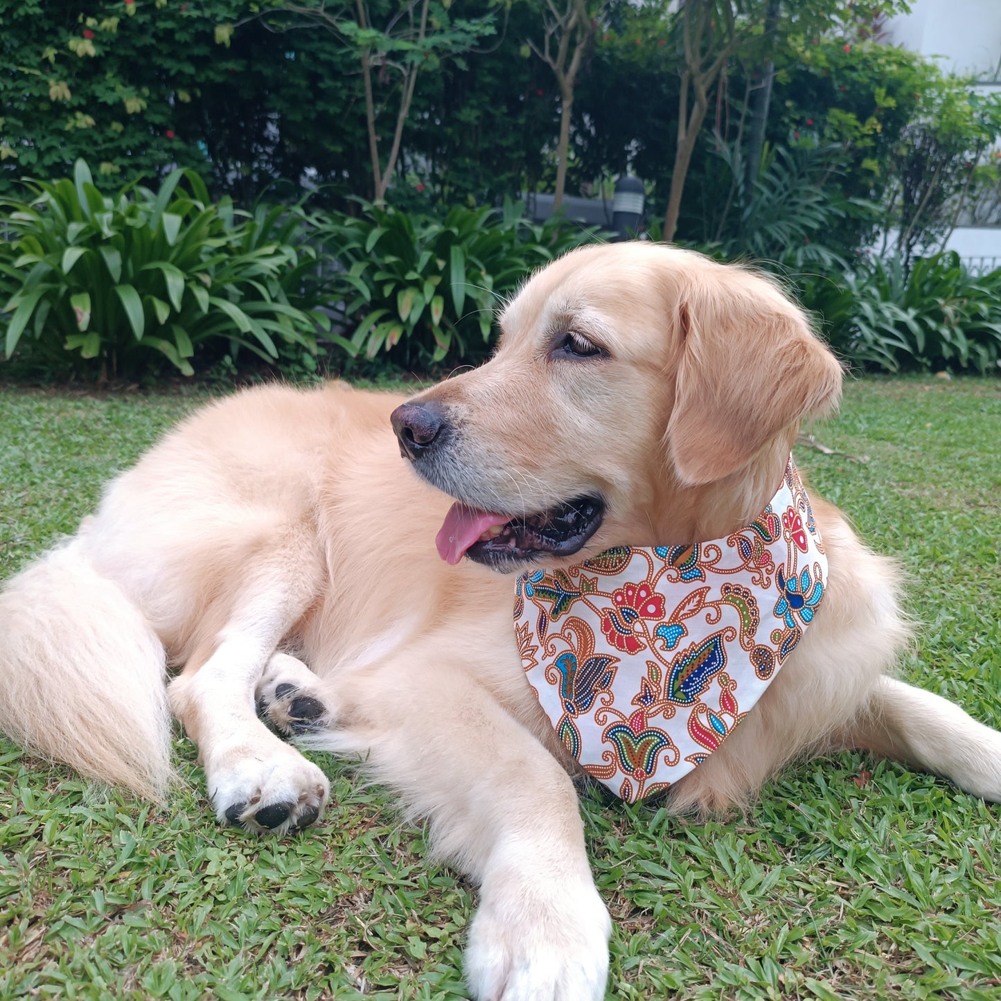 Batik Bandana - White