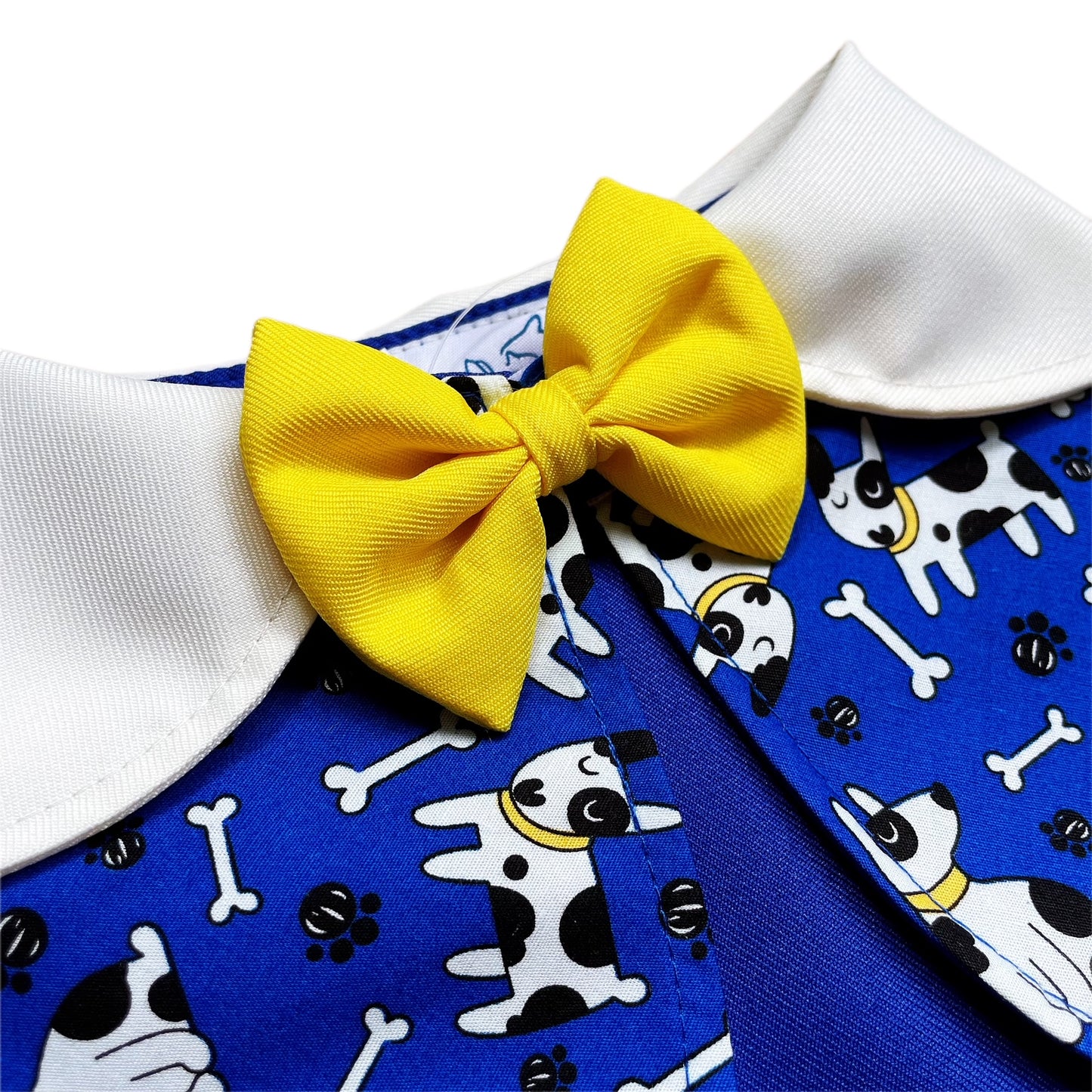 Bull Terrier Cape - Blue