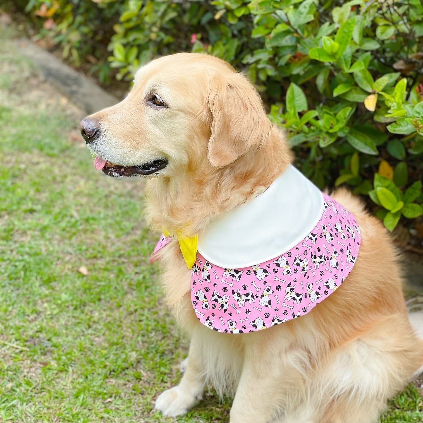 Bull Terrier Cape - Pink