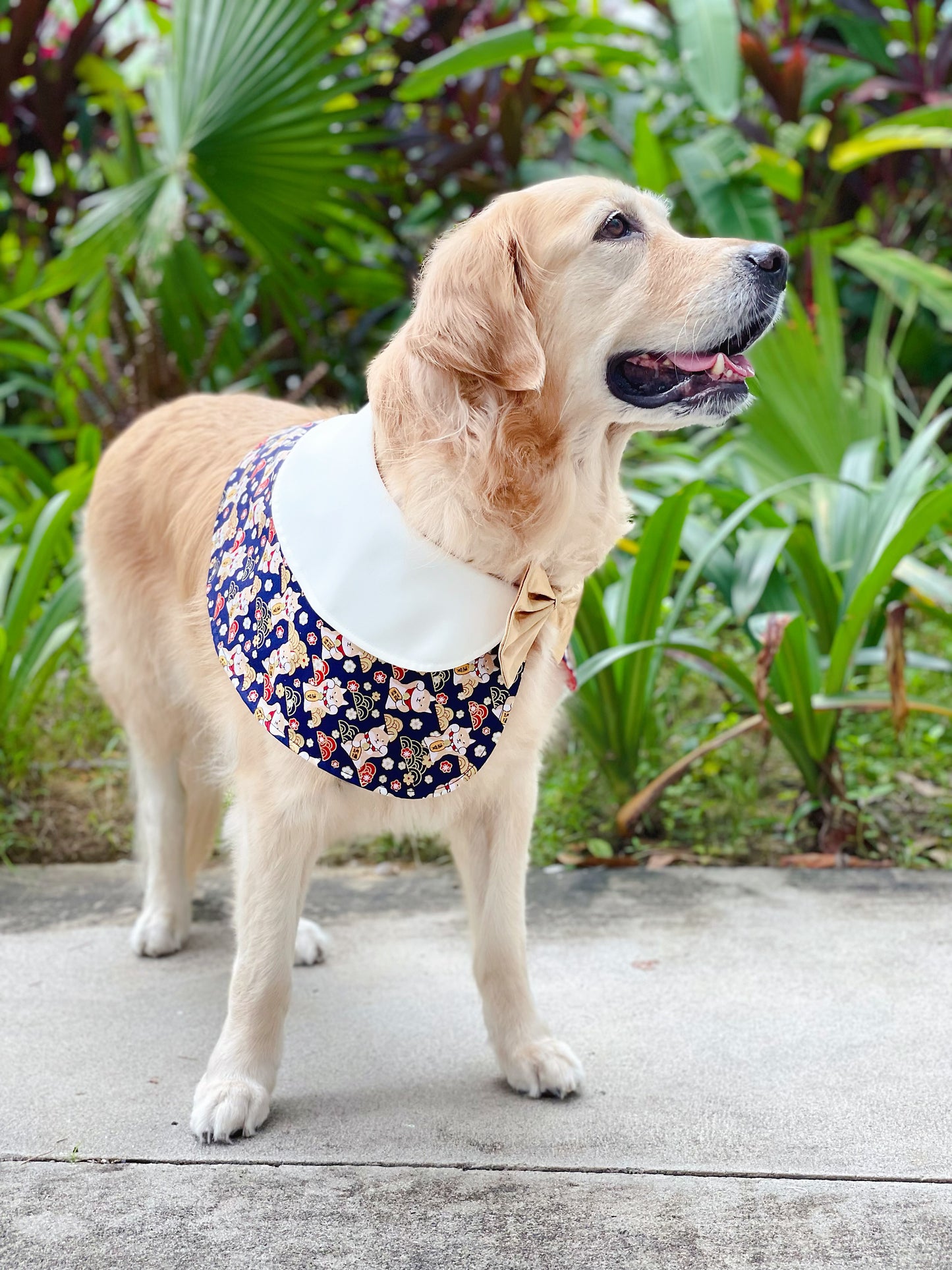 CNY Lucky Dog Cape