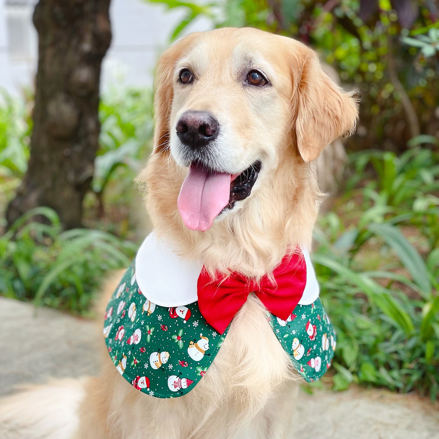 Snowman and Santa Cape - Green