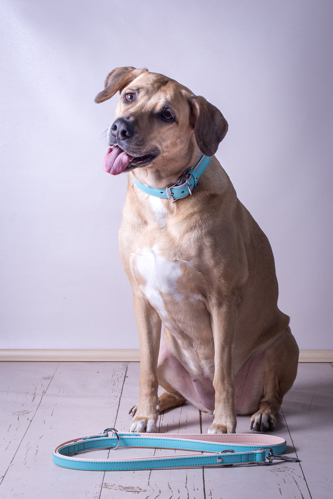 Firenze Leash - Electric Blue / Nude