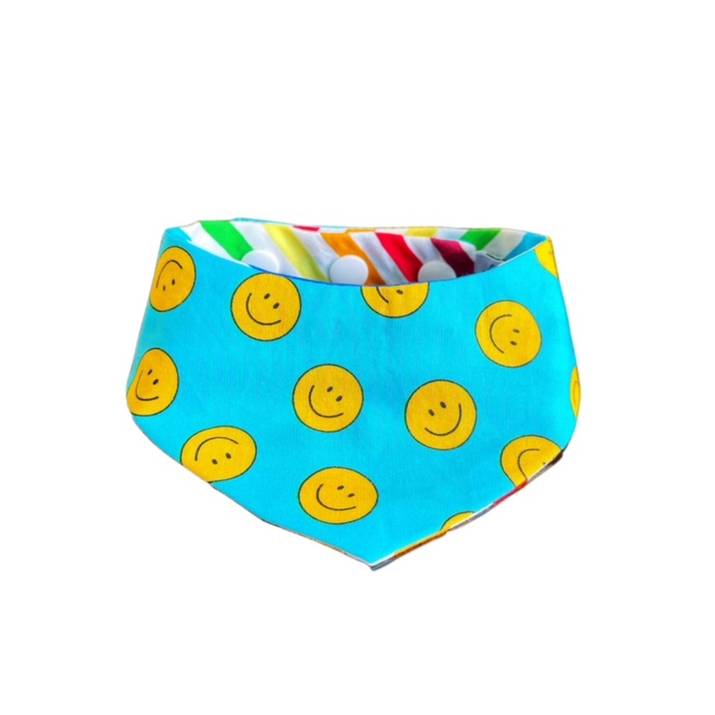 Rainbow Bandana