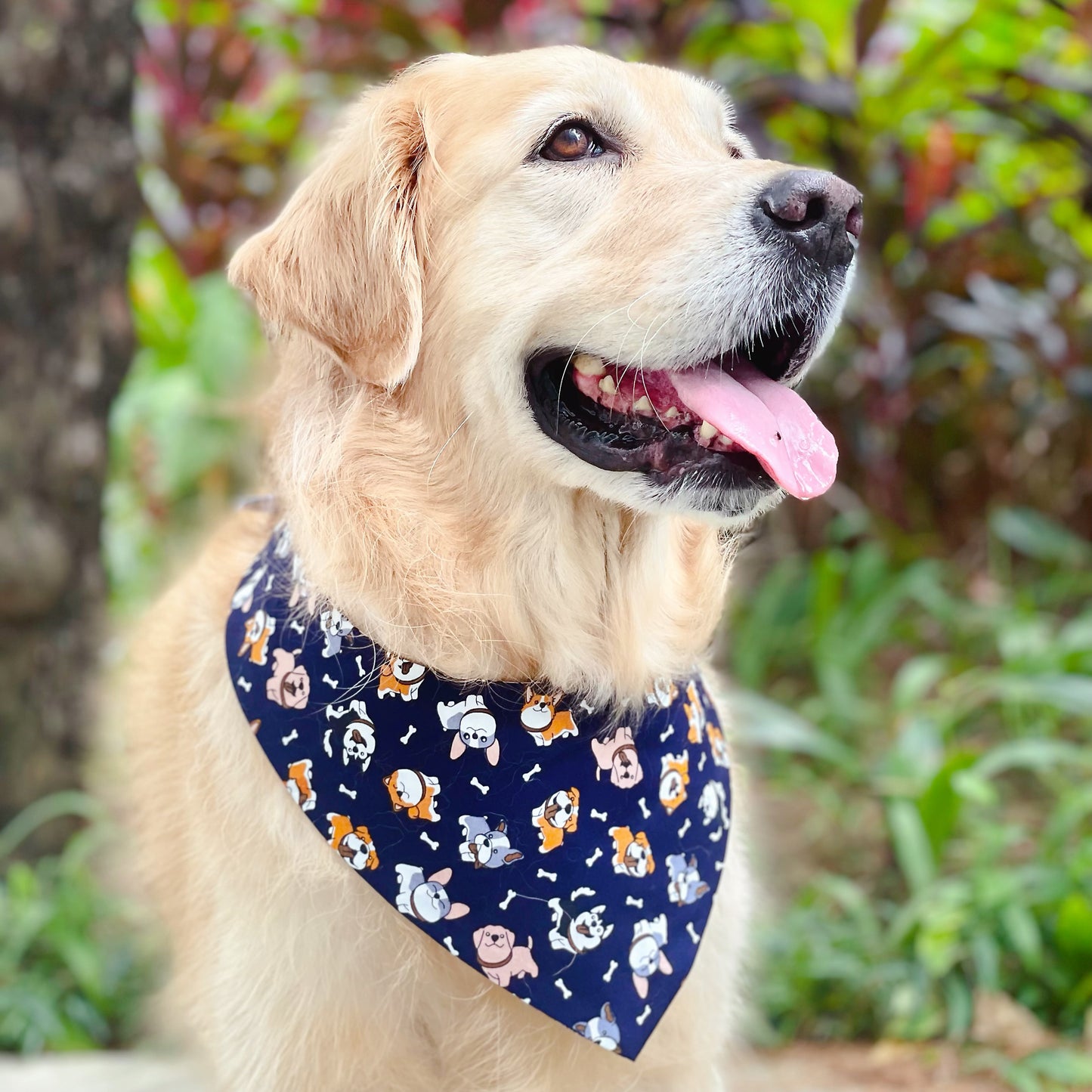 Puppies Bandana - Blue