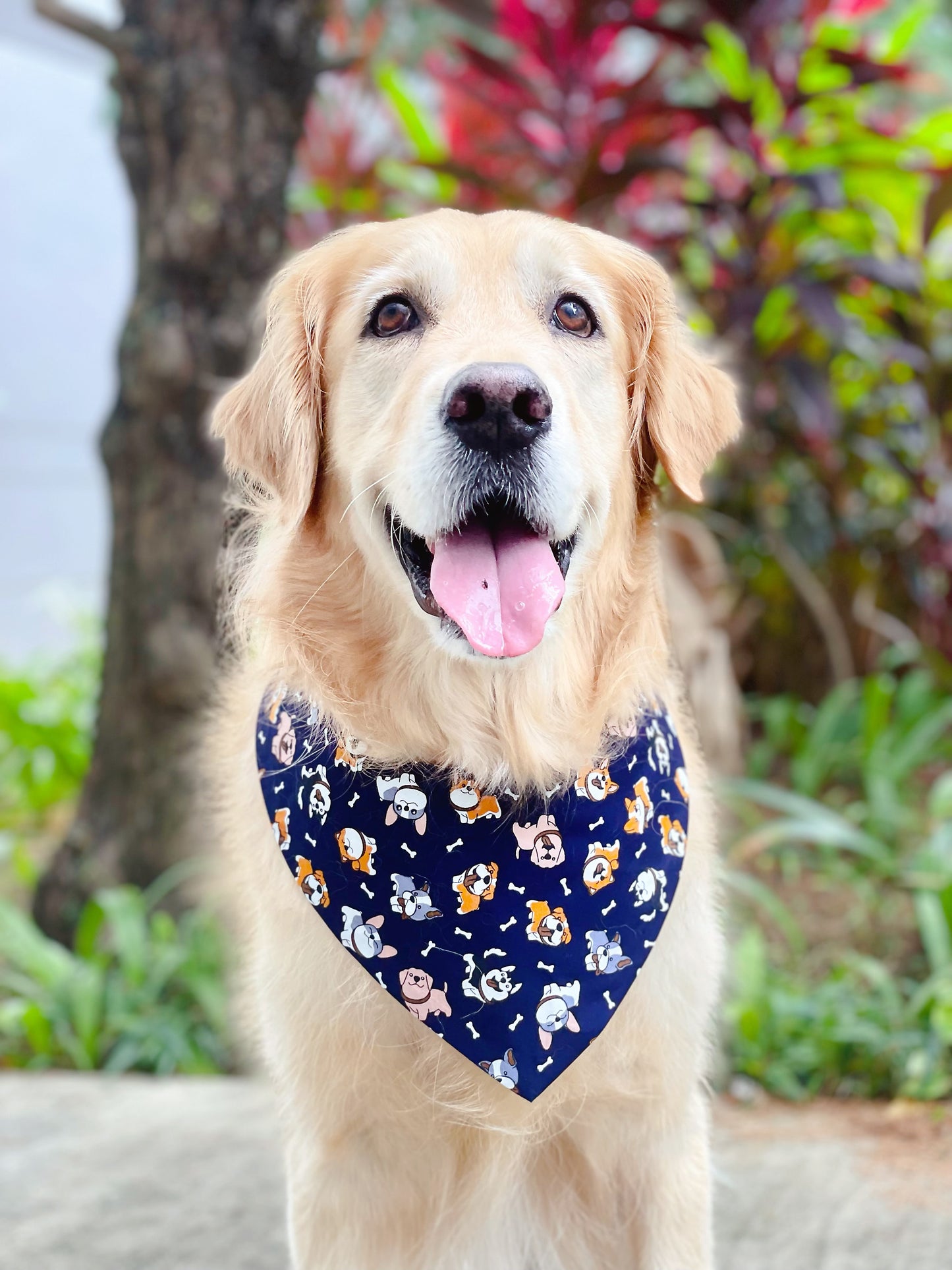 Puppies Bandana - Blue