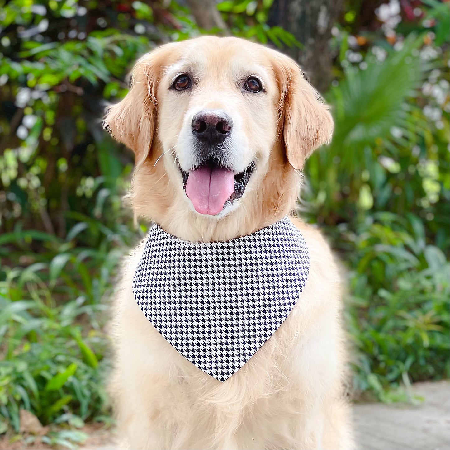 Puppies Bandana - Blue