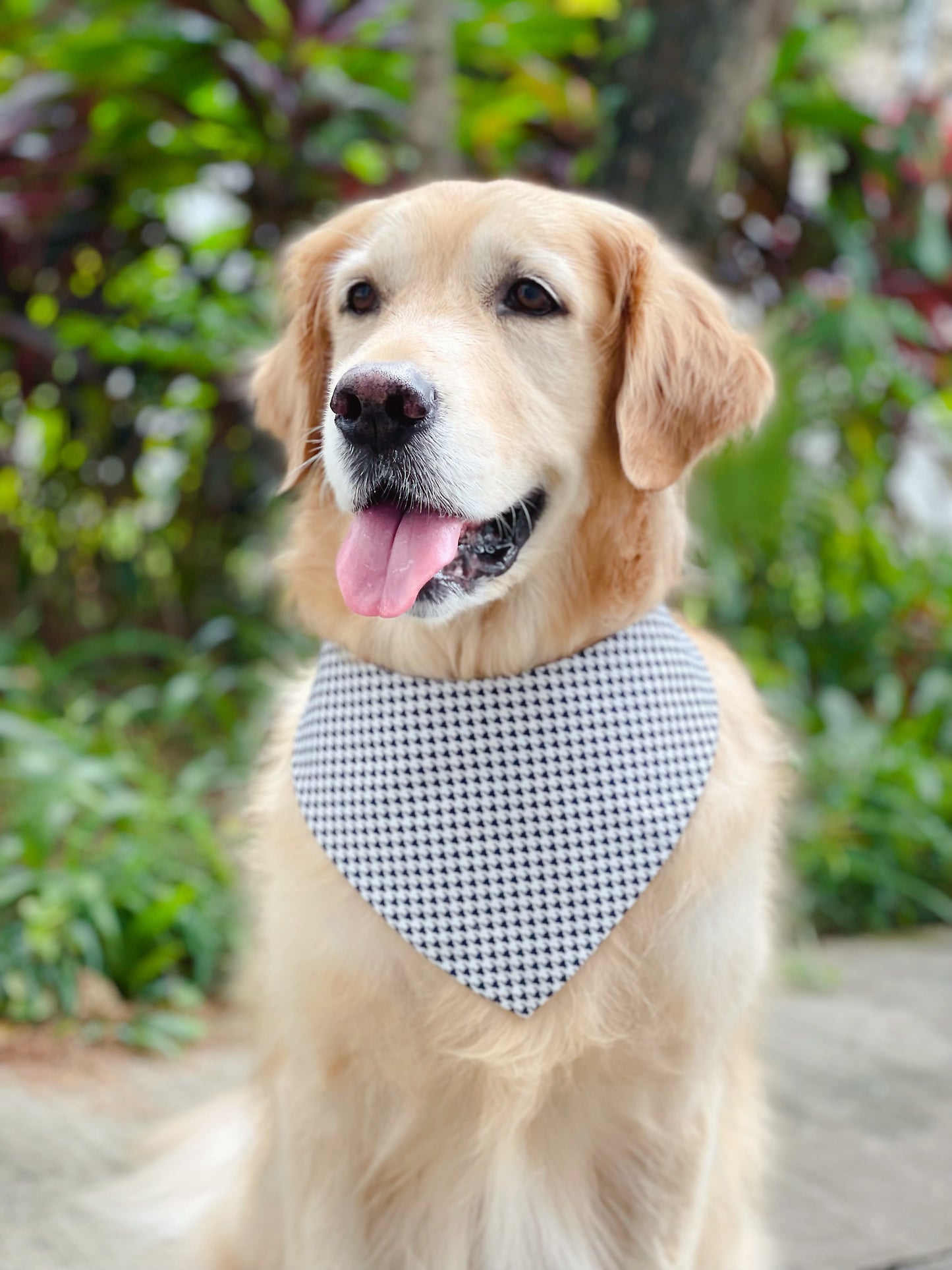 Puppies Bandana - Blue