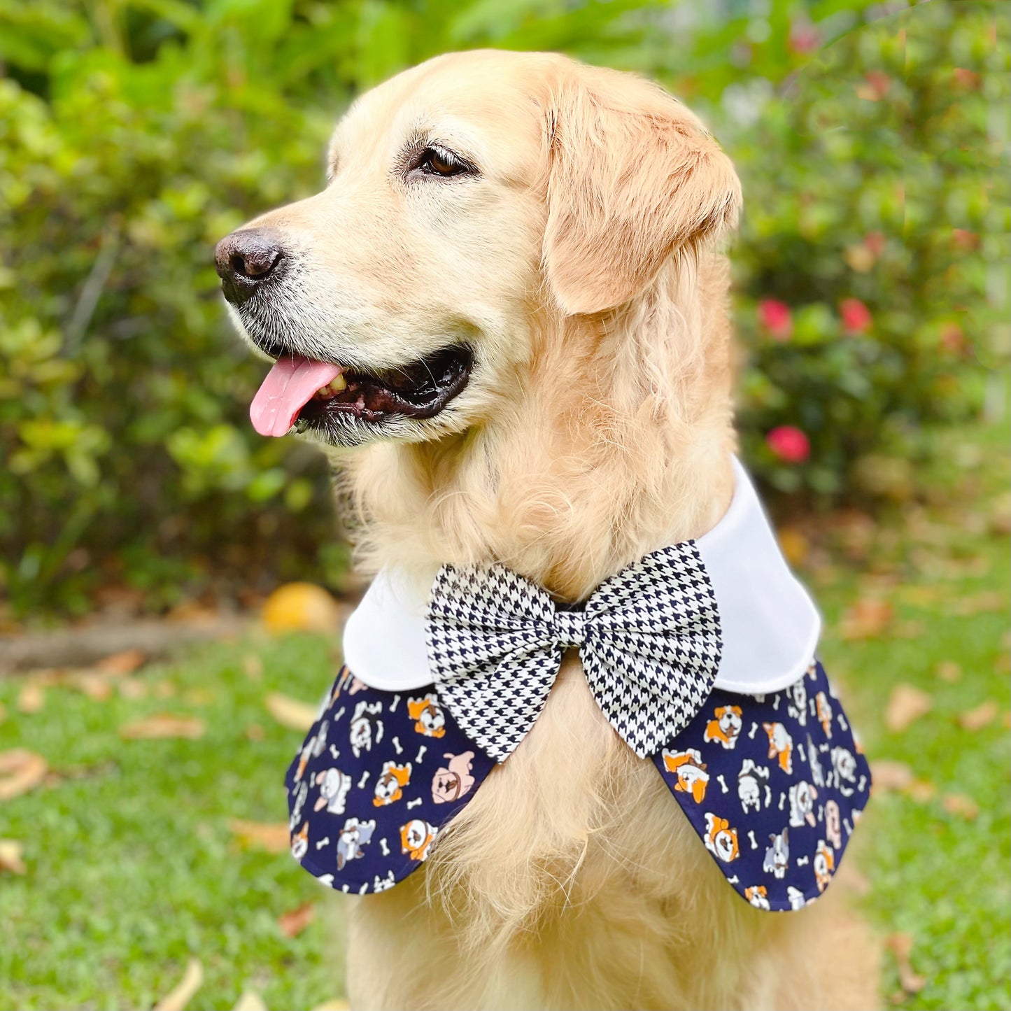 Puppies Cape - Blue