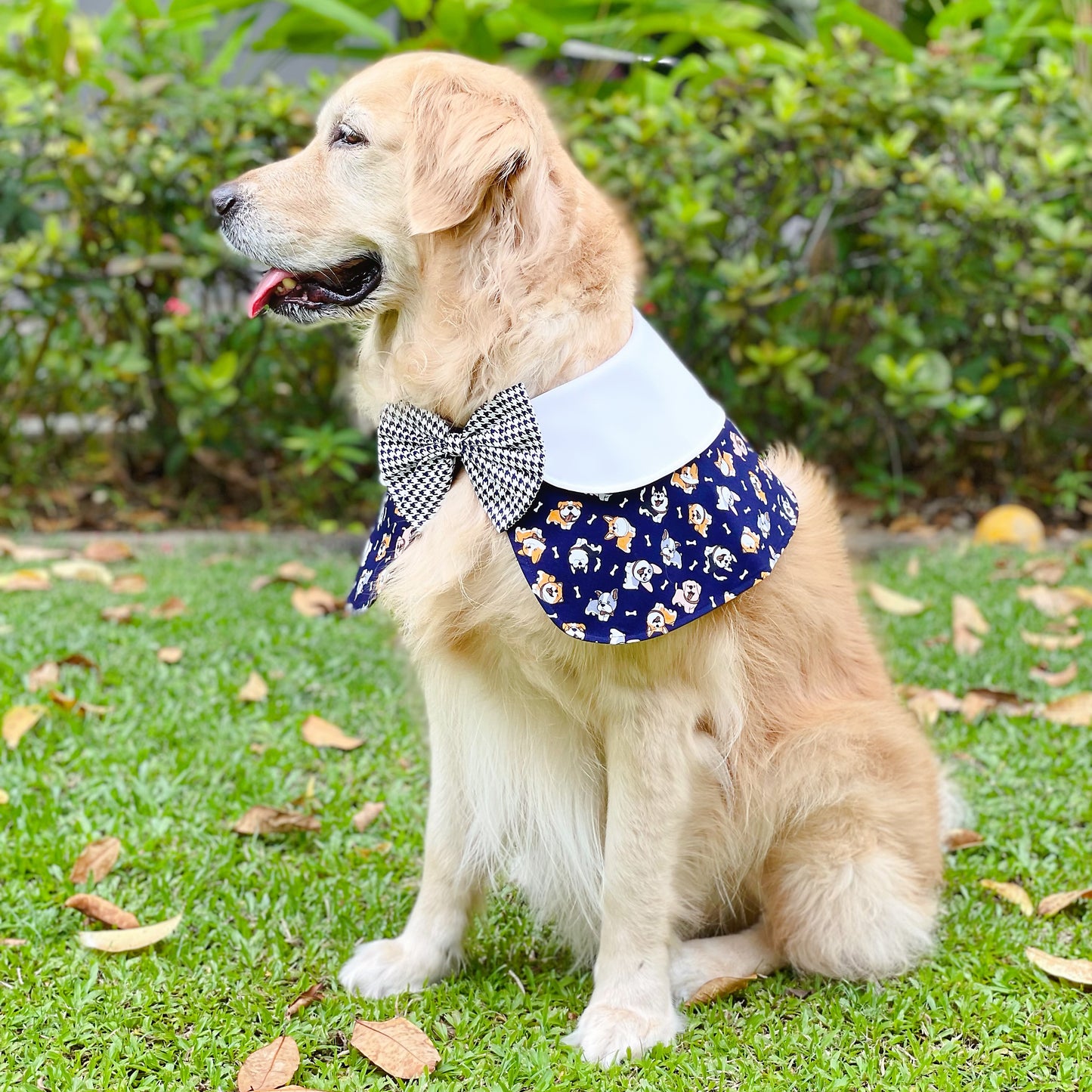 Puppies Cape - Blue