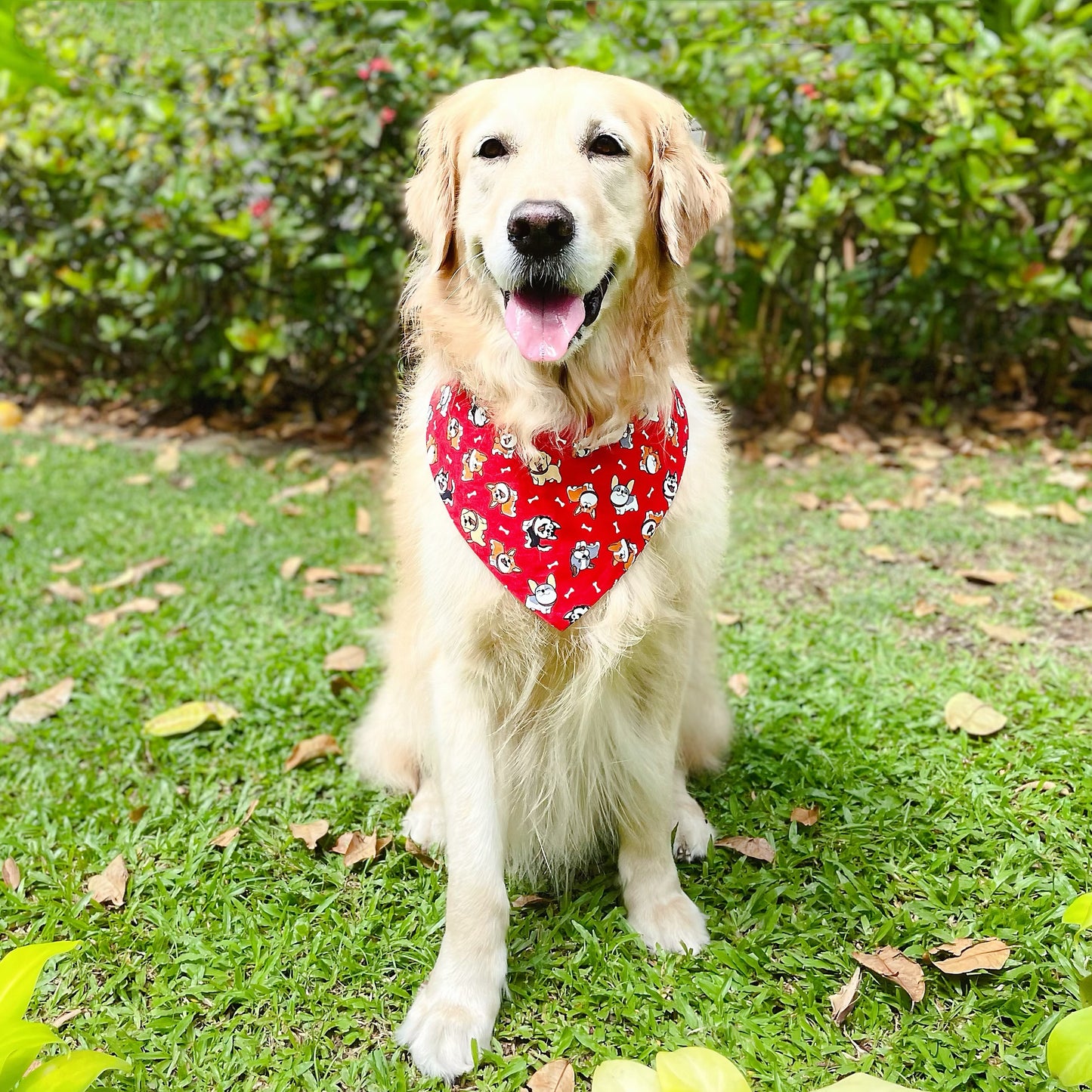 Puppies Bandana - Red
