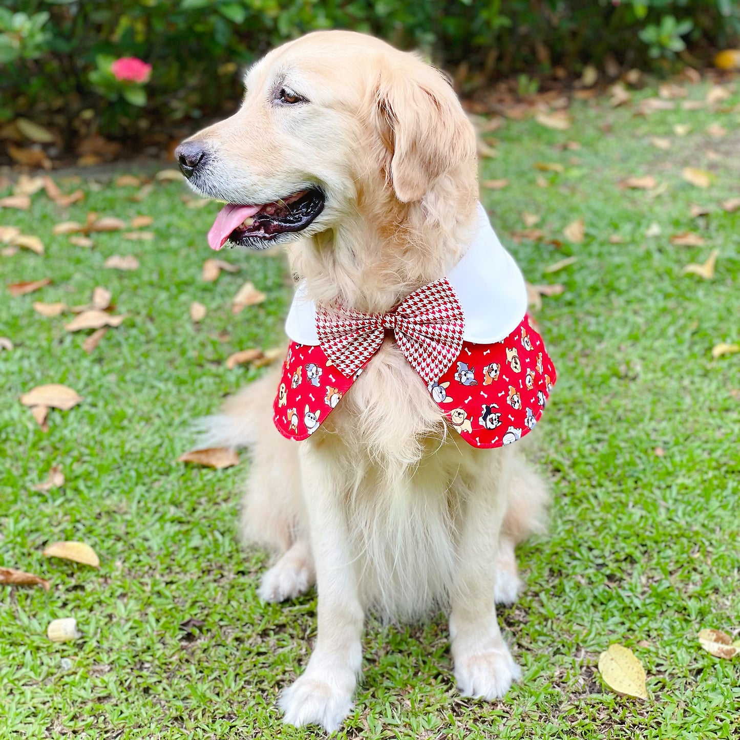 Puppies Cape - Red