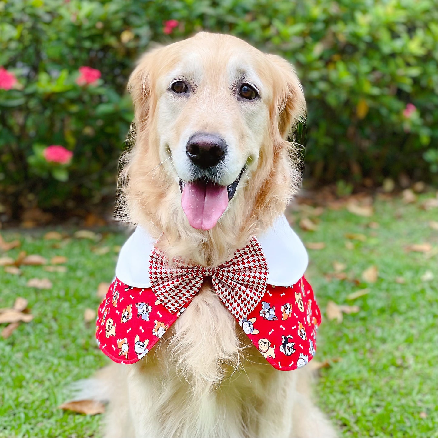 Puppies Cape - Red