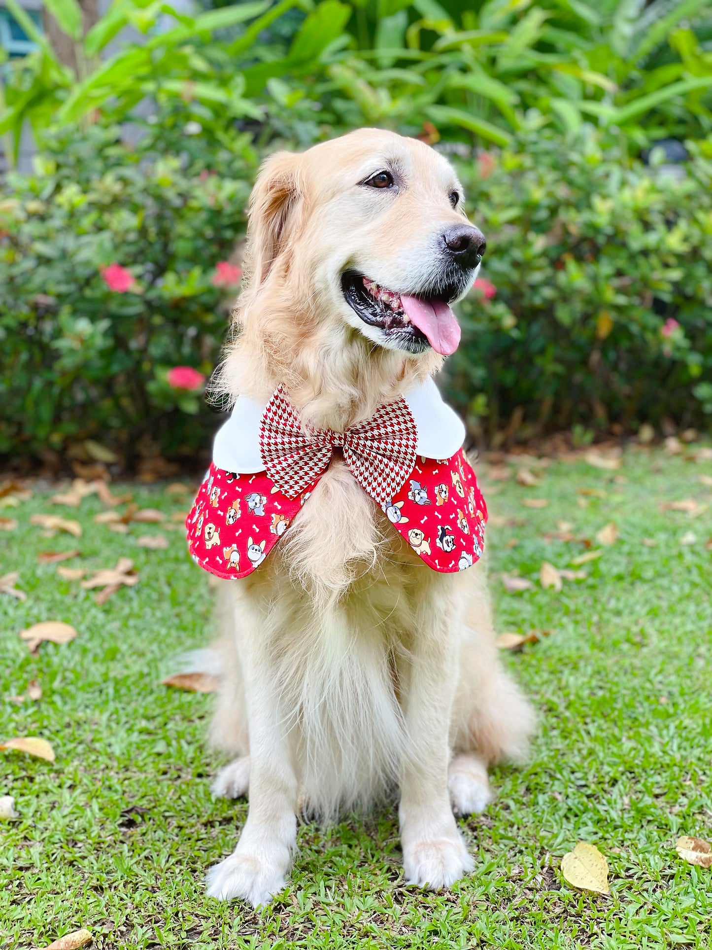 Puppies Cape - Red