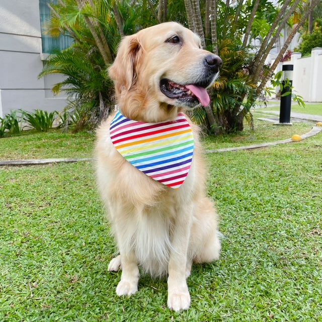 Rainbow Bandana