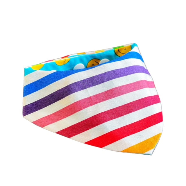 Rainbow Bandana