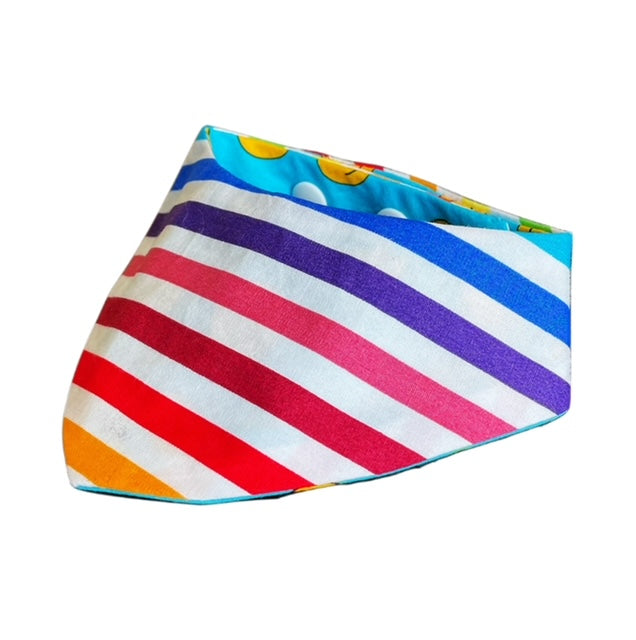 Rainbow Bandana