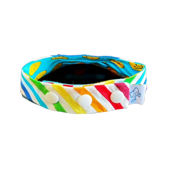Rainbow Bandana
