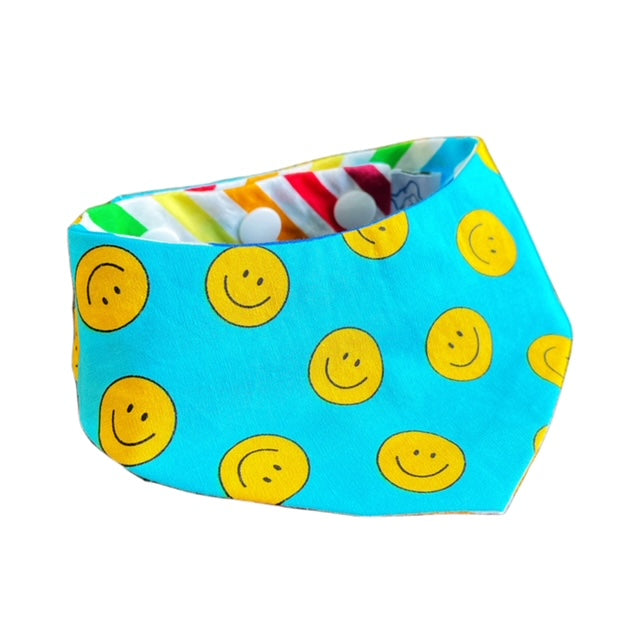 Rainbow Bandana