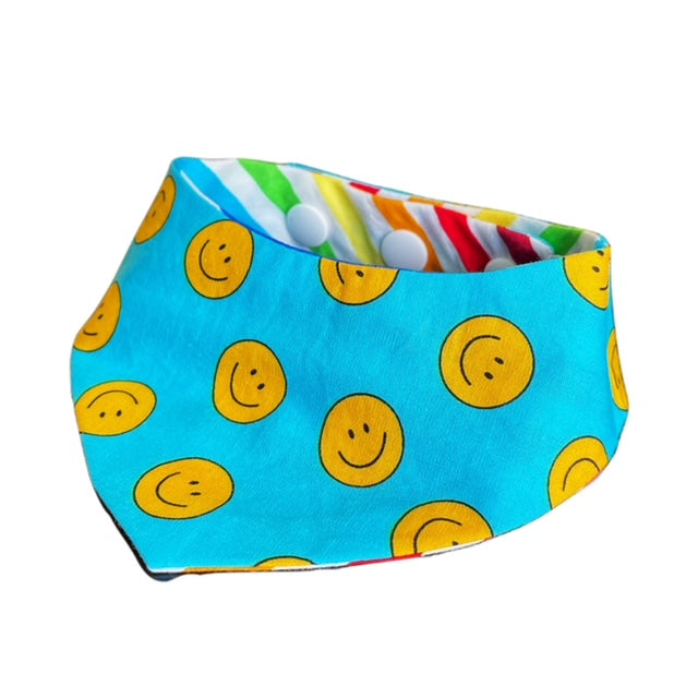 Rainbow Bandana