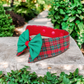 Christmas Plaid Collar - Red