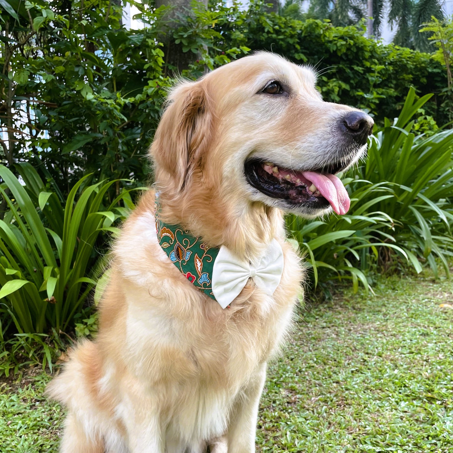 Batik Button Collar - Green