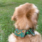 Batik Button Collar - Green