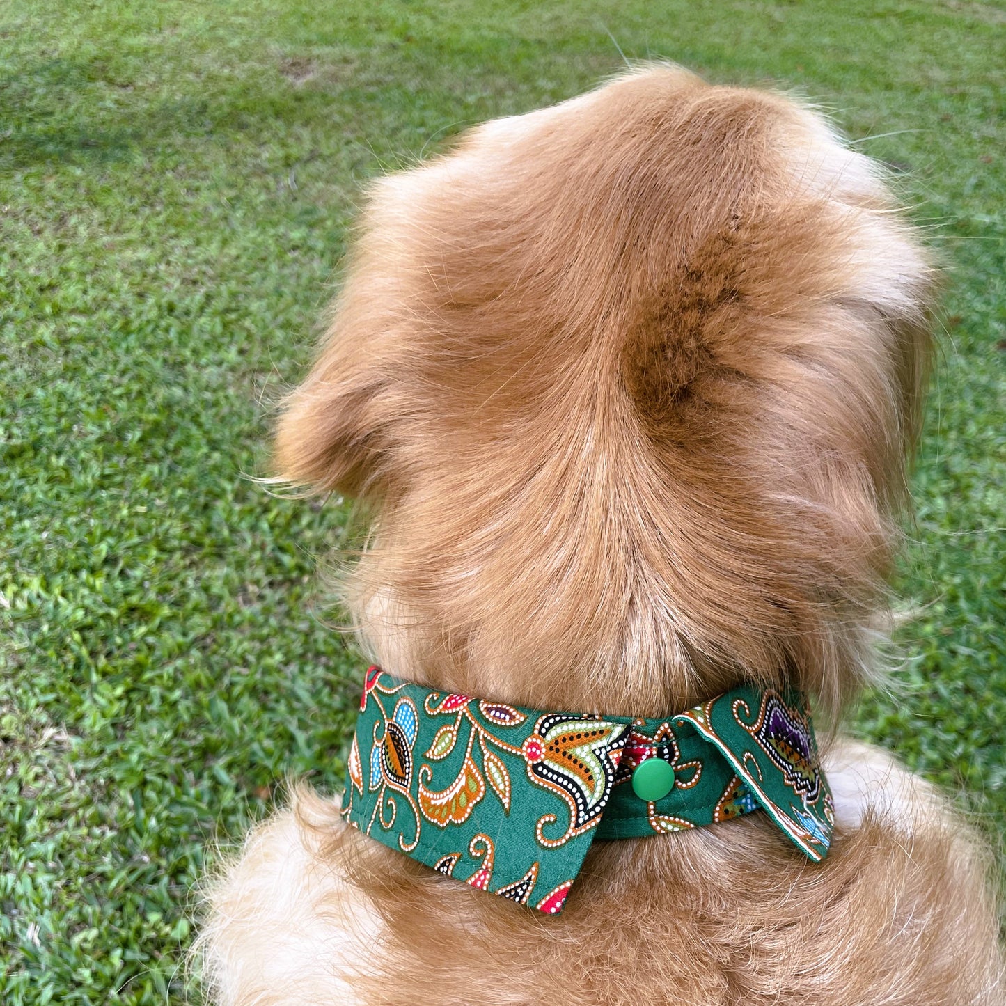 Batik Button Collar - Green