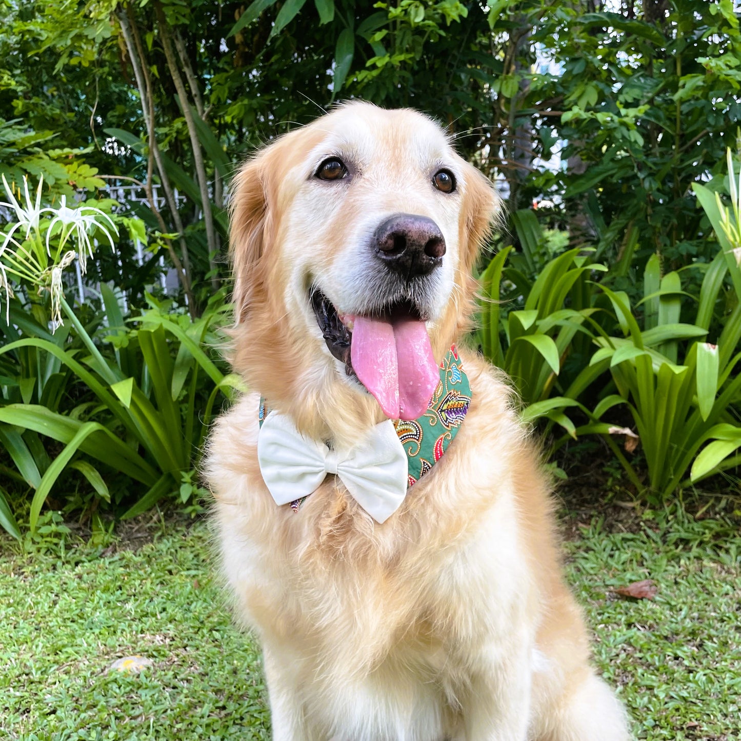 Batik Button Collar - Green