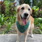Snowflake Bandana - Red & Green