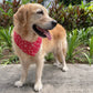Snowflake Bandana - Red & Green