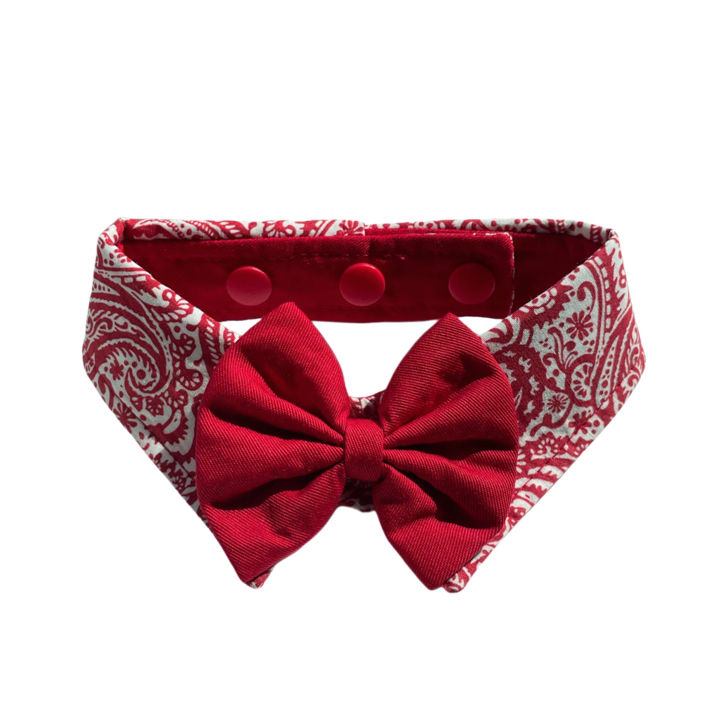 Paisley Collar - Red