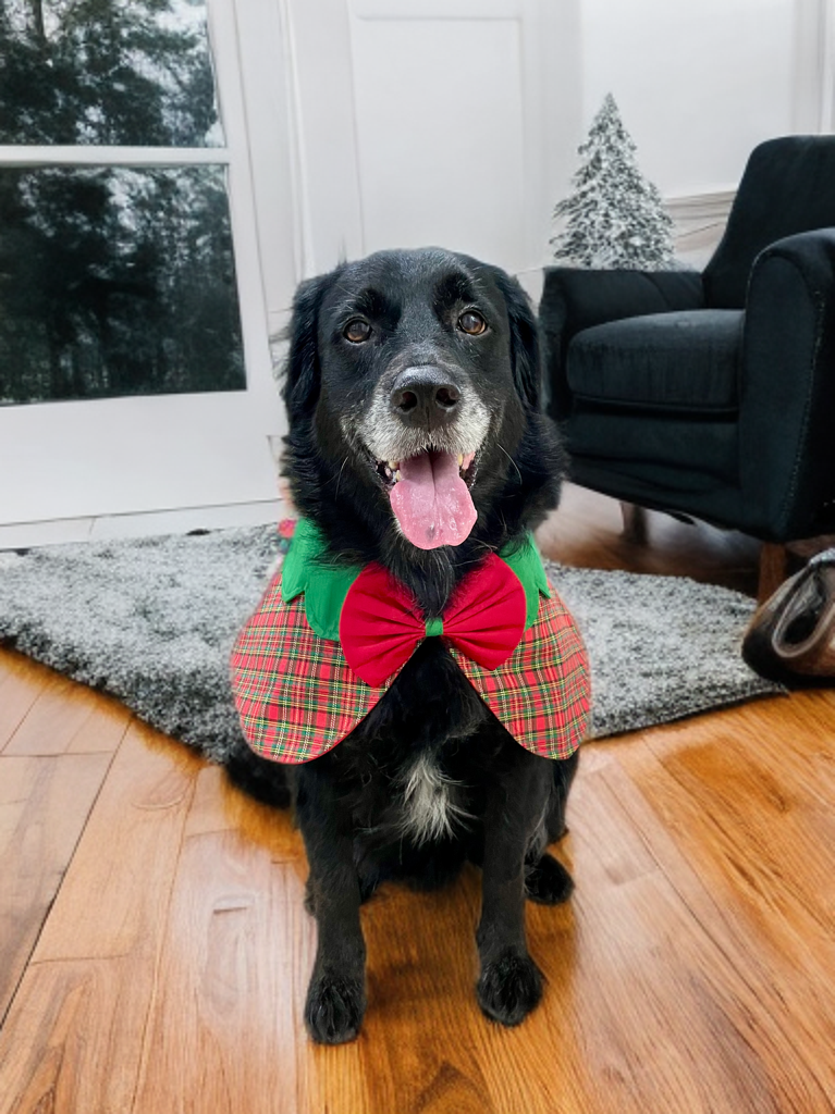 Christmas Plaid Cape - Red