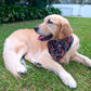 Batik Bandana - Blue