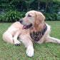 Batik Bandana - Green