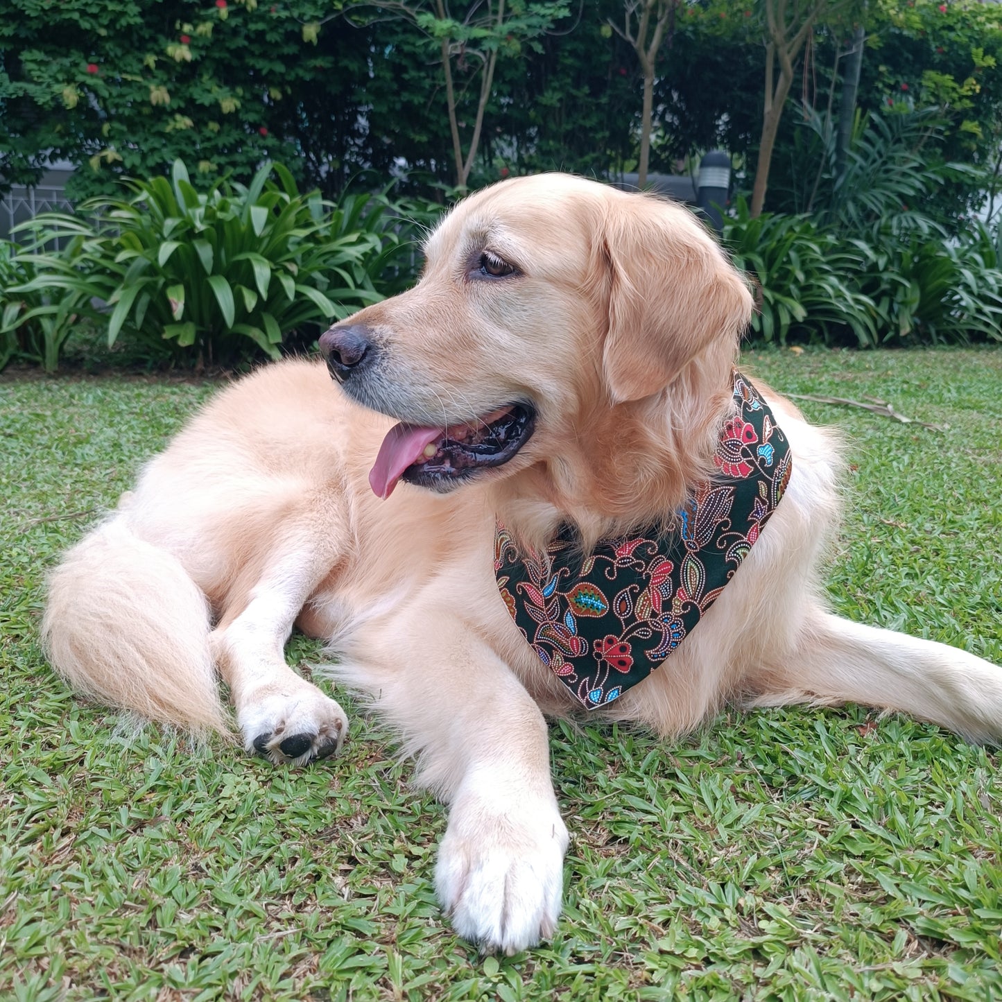 Batik Bandana - Green