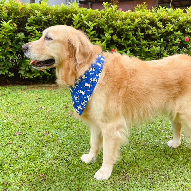 Bull Terrier Bandana - Blue
