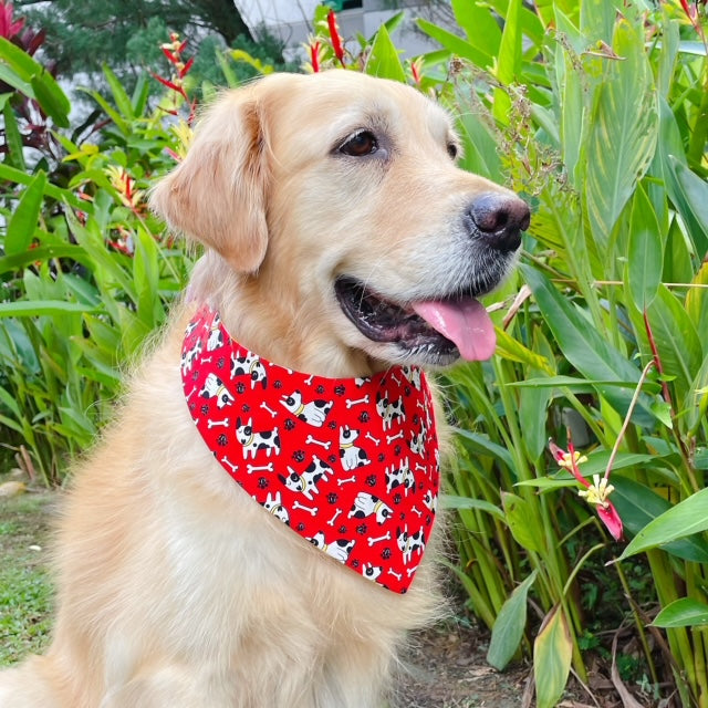 Bull Terrier Bandana - Red