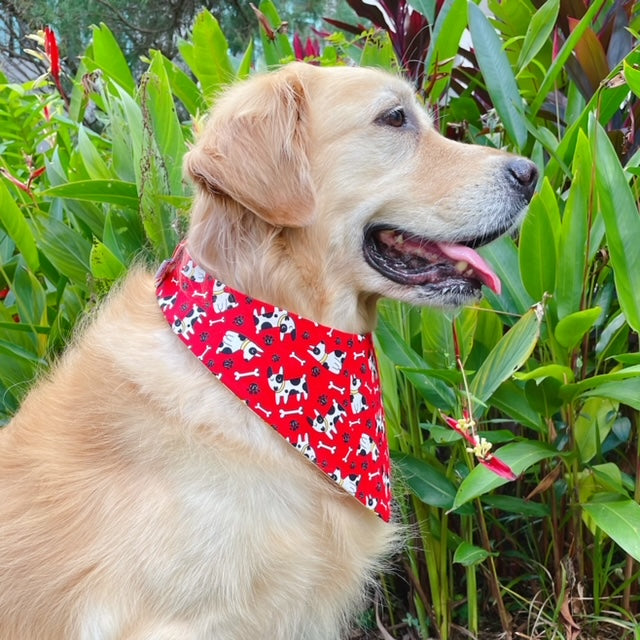 Bull Terrier Bandana - Red