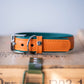 Firenze Collar - Orange / Forest