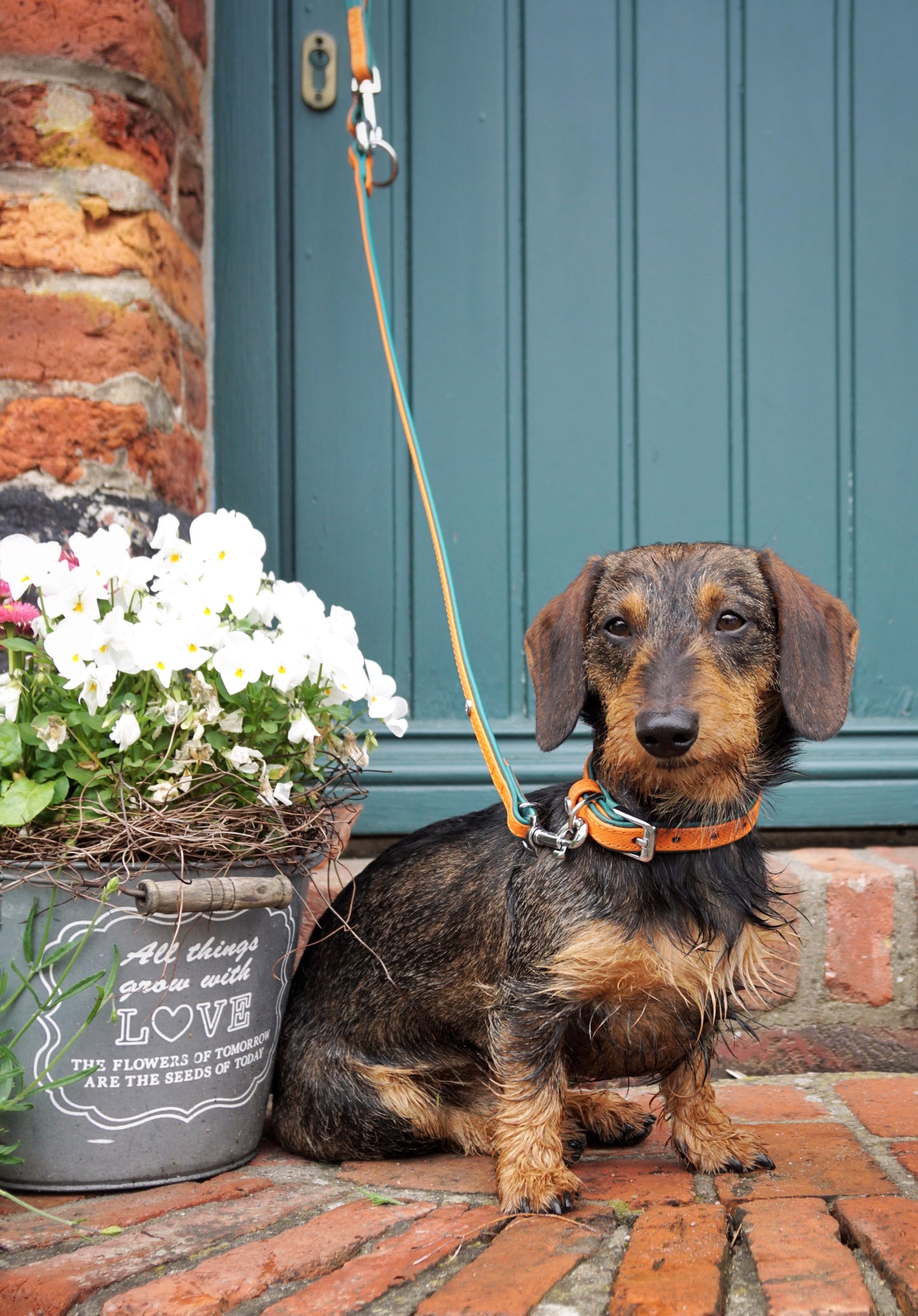 Firenze Leash - Orange / Forest