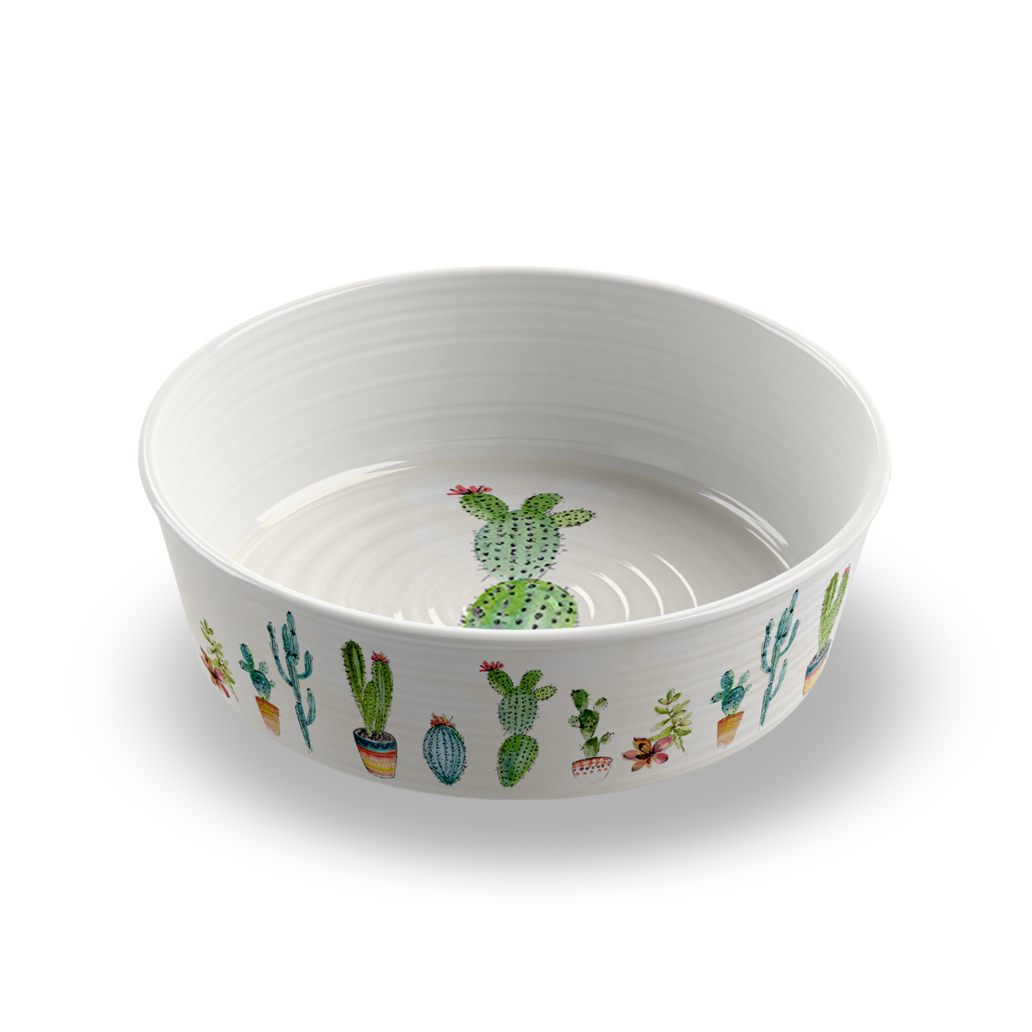 Cactus Pet Bowl - Large