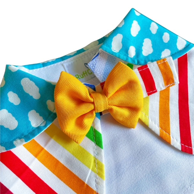 Rainbow Cape